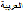 Arabic flag